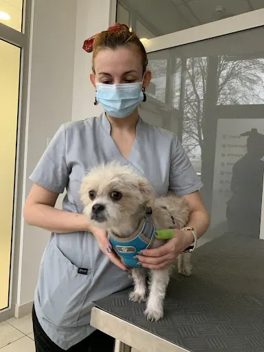 Przychodnia Weterynaryjna Rodzinna